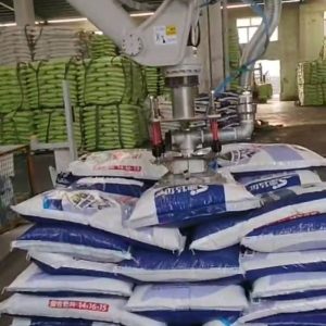 Robot dỡ pallet bằng thị giác 3D - Ảnh 3