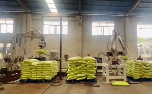 Robot dỡ pallet bằng thị giác 3D