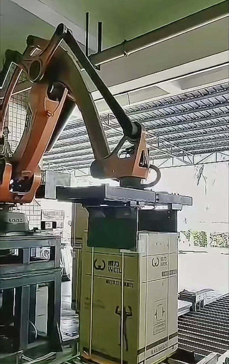 Máy xếp và dỡ pallet thùng carton - Ảnh 2