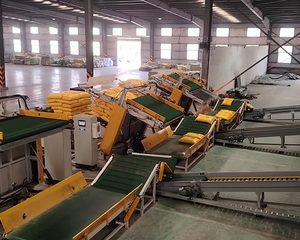 Máy dỡ pallet băng tải nghiêng tự động