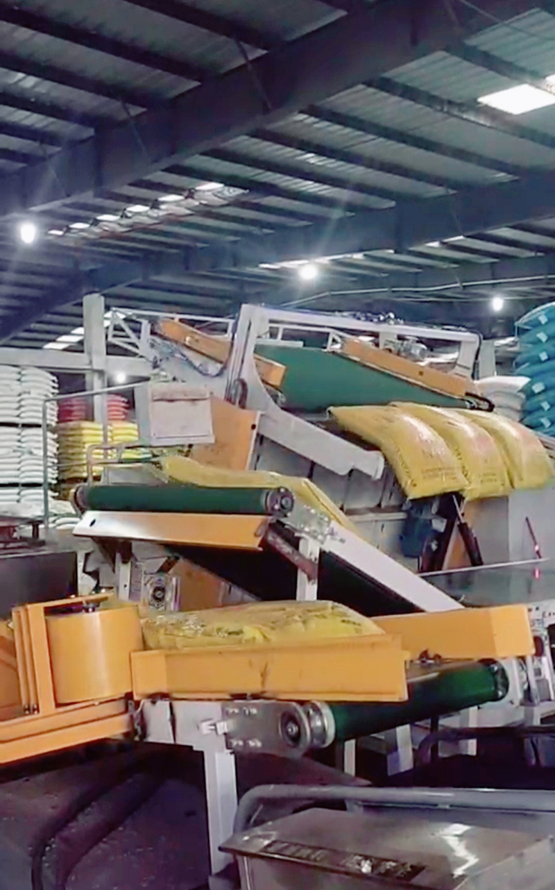 Máy dỡ pallet băng tải nghiêng hoàn toàn tự động - Ảnh 2