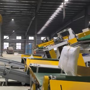 Máy dỡ pallet băng tải nghiêng hoàn toàn tự động - Ảnh 5