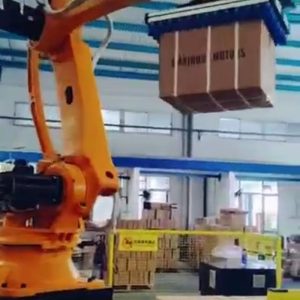 Alternative view of Máy xếp và dỡ pallet thùng carton