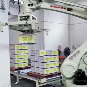 Máy xếp và dỡ pallet thùng carton
