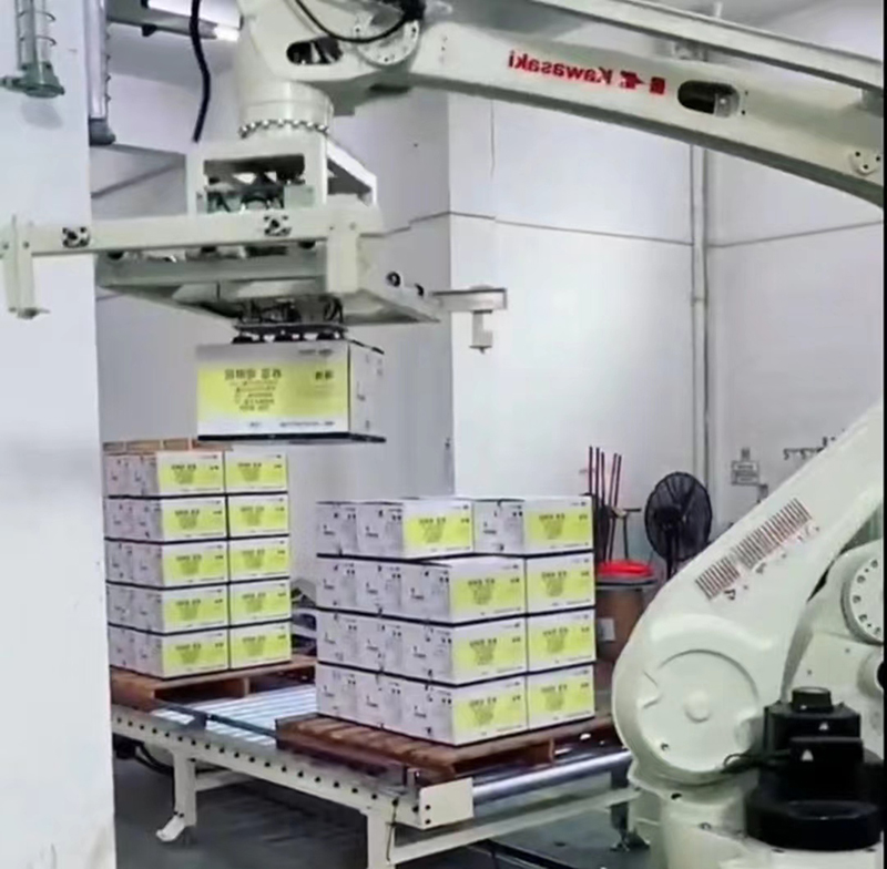 Robot xếp pallet hoàn toàn tự động - Ảnh 5
