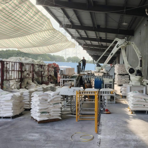 Máy dỡ hàng và xếp pallet