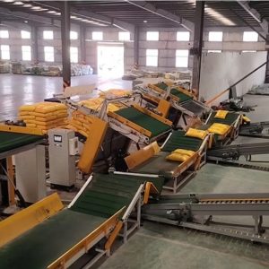 Máy dỡ pallet băng tải nghiêng hoàn toàn tự động